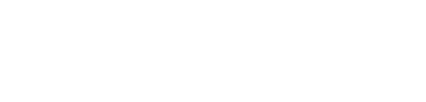 NAIC Connect logo