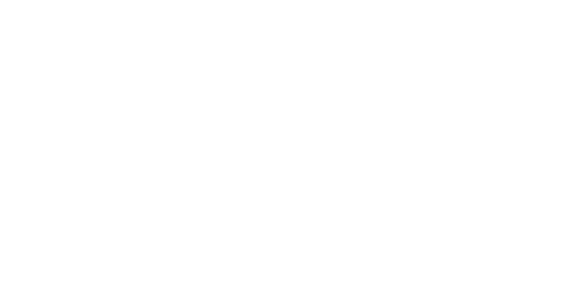 NAIC Connect logo